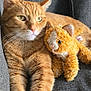 cat, ginger_cat, plush_toy, stuffed_animal, couch, gray_fabric, pet, feline, close_up, indoor, relaxed, soft_texture, orange_fur, whiskers, ears, front_paws, companion, cozy, calm, domestic_animal