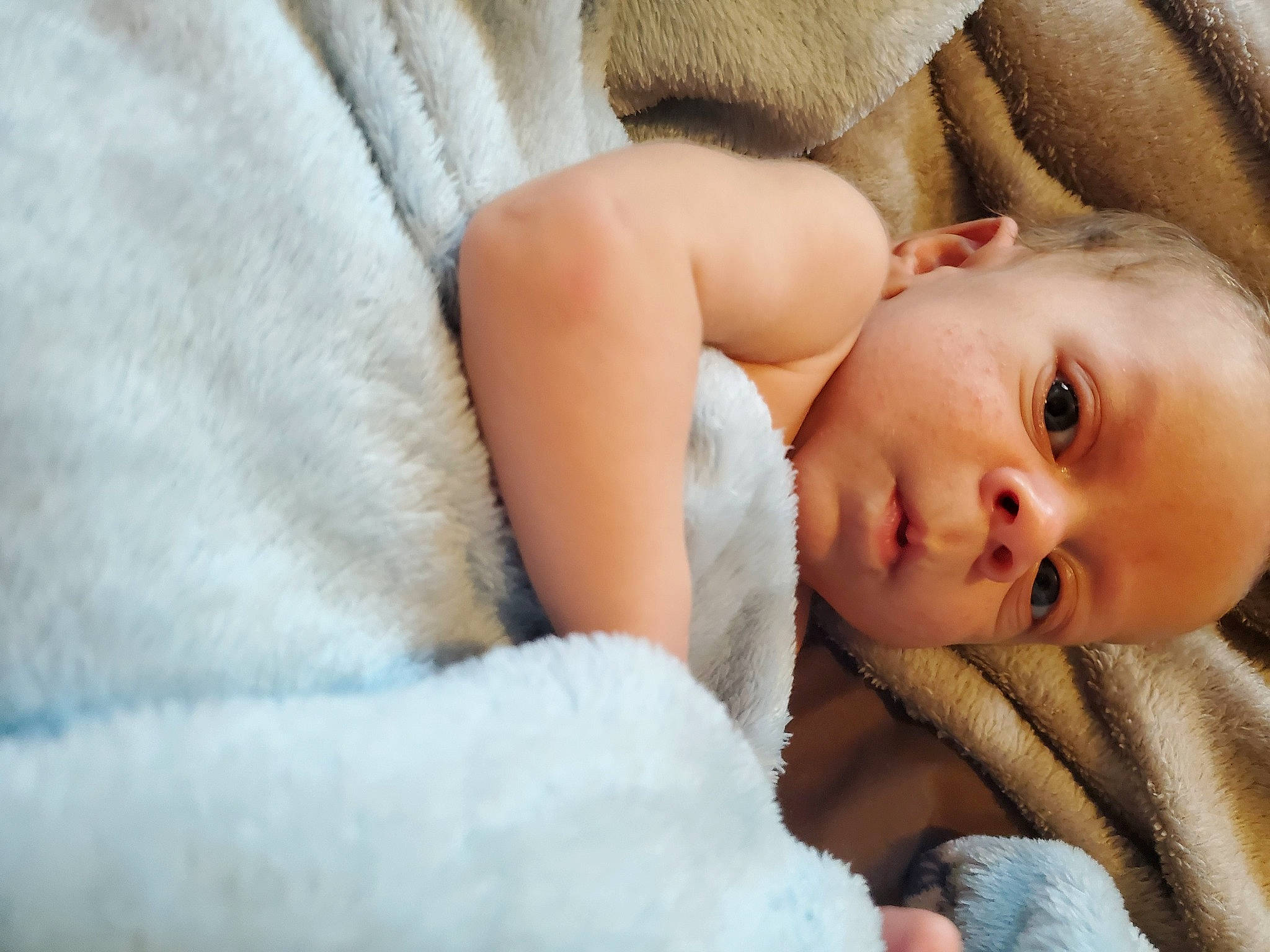 Dashaun joined the competition — help win amazing prizes! baby, cheek, child, eye, face, fur, nose, person, portrait_photography, skin, toddler