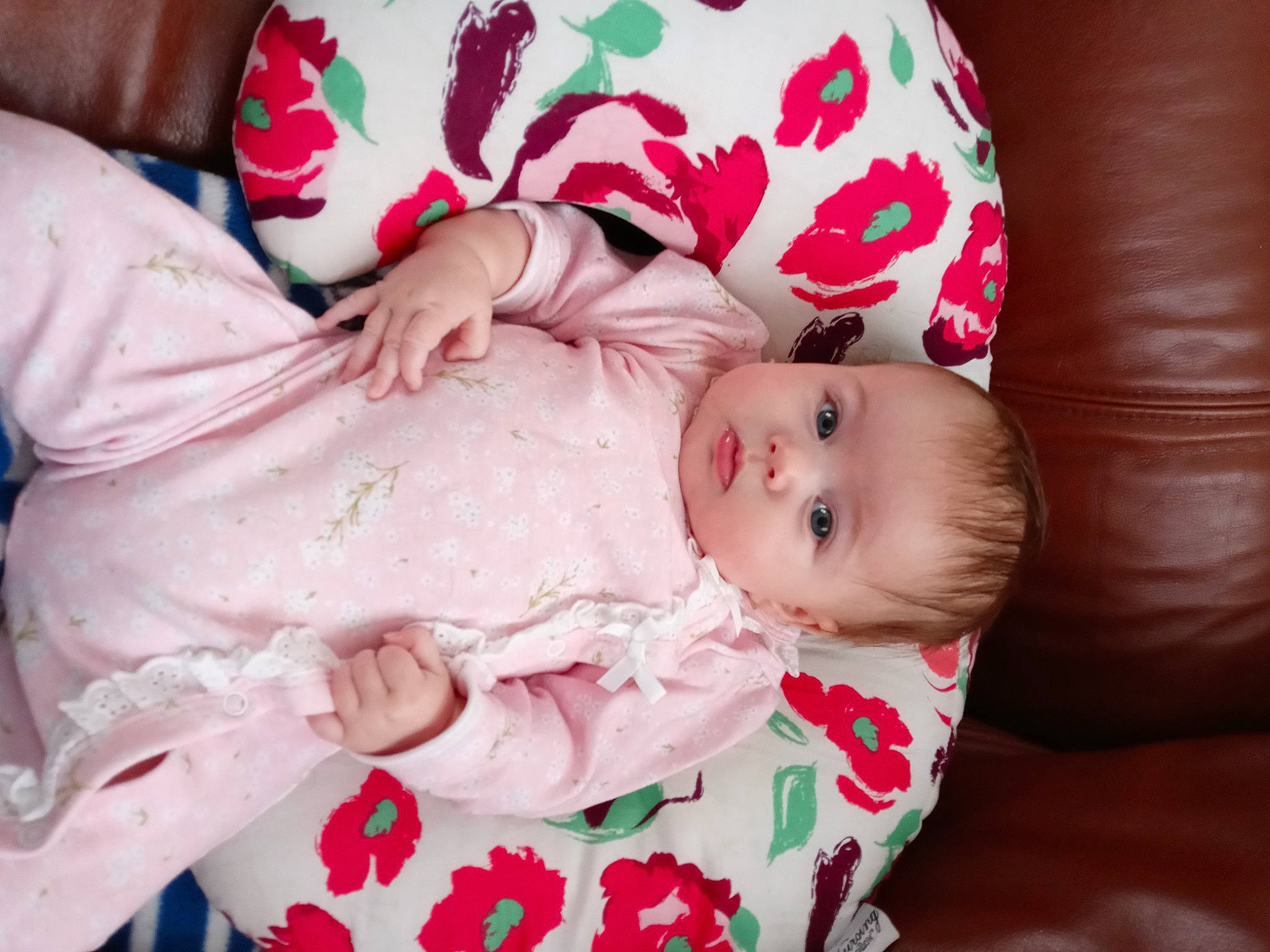 Hazel is registered to the contest to win money with this photo: baby, baby_products, baby_toddler_clothing, cheek, child, comfort, eye, eyelash, face, head, lip, nail, pattern, person, pink, plant, sitting, skin, sleeve, toddler