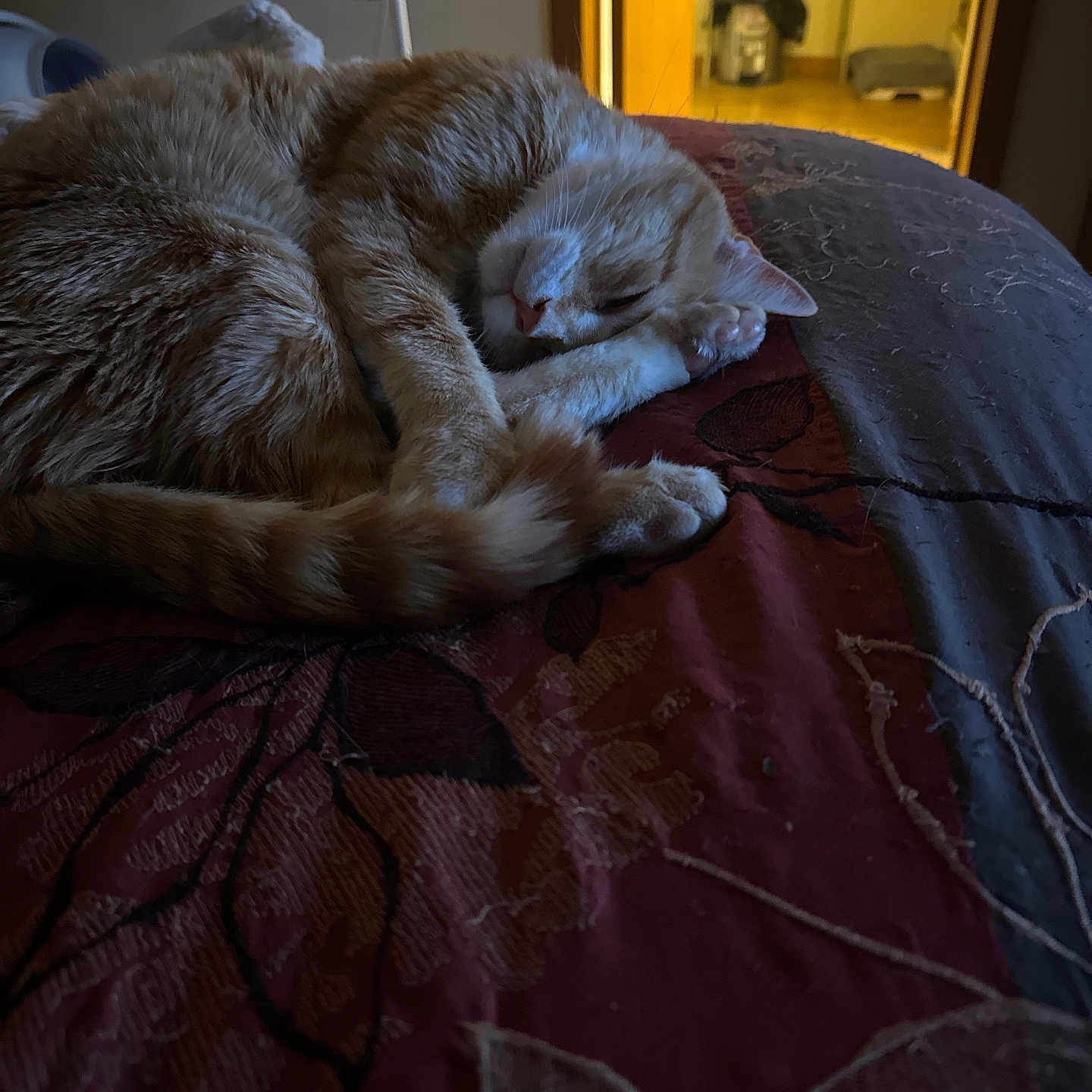 Garfield