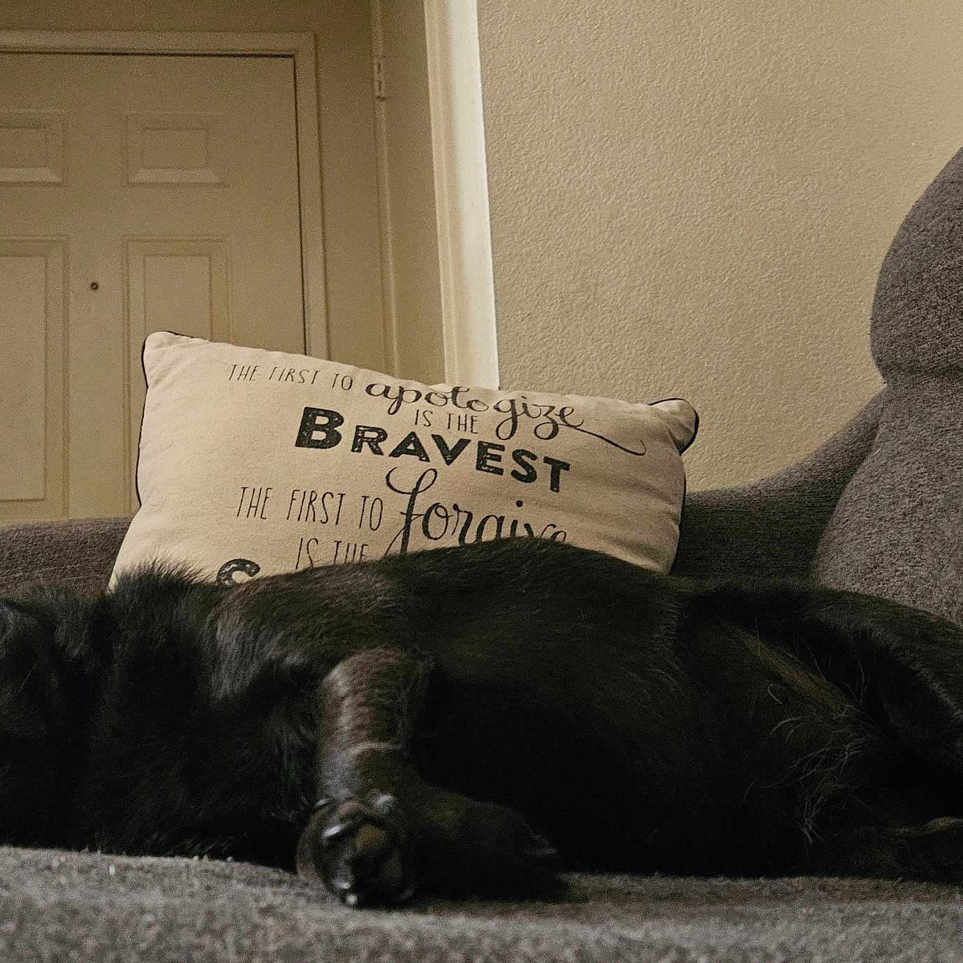 Georgia is registered to the contest to win money with this photo: animal, architecture, armchair, building, canine, cat, chair, couch, cushion, dog, door, furniture, homedecor, indoors, linen, livingroom, pet, pillow, puppy, room