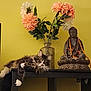 cat, fluffy_cat, table, vase, flowers, peach_flowers, white_flowers, buddha_statue, beads, yellow_wall, indoor, relaxed_cat, decor, meditation, spiritual, animal, furniture, pet, resting, calm