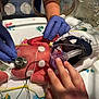 newborn, baby, medical_equipment, hospital, neonatal_intensive_care, gloves, monitoring_wires, ventilator, hand, infant, care, healthcare, patient, treatment, tiny, fragile, hospital_bed, blanket, medical_care, premature