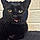 Binx