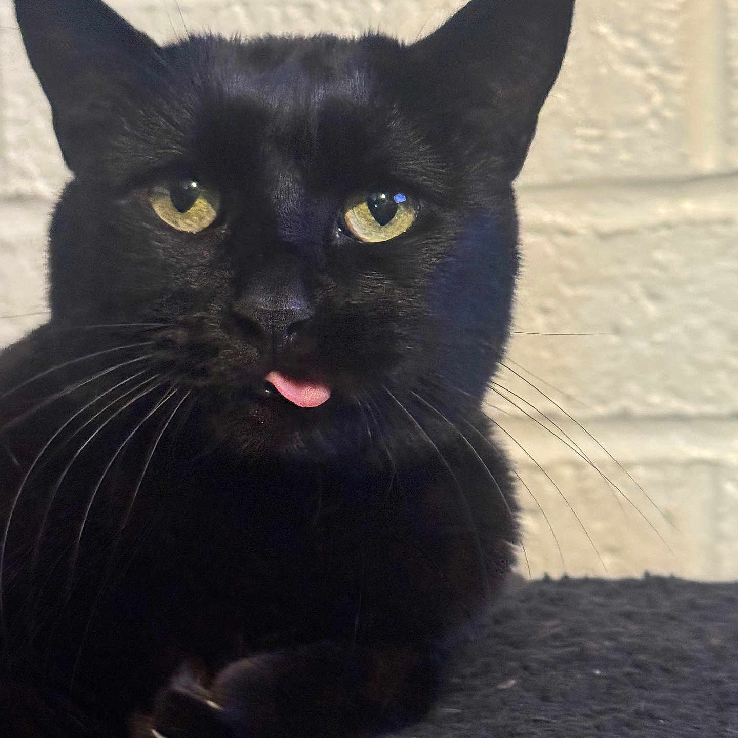 Binx