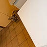 Oscar participe au concours pour gagner de l'argent avec cette photo :