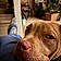 Whiskey