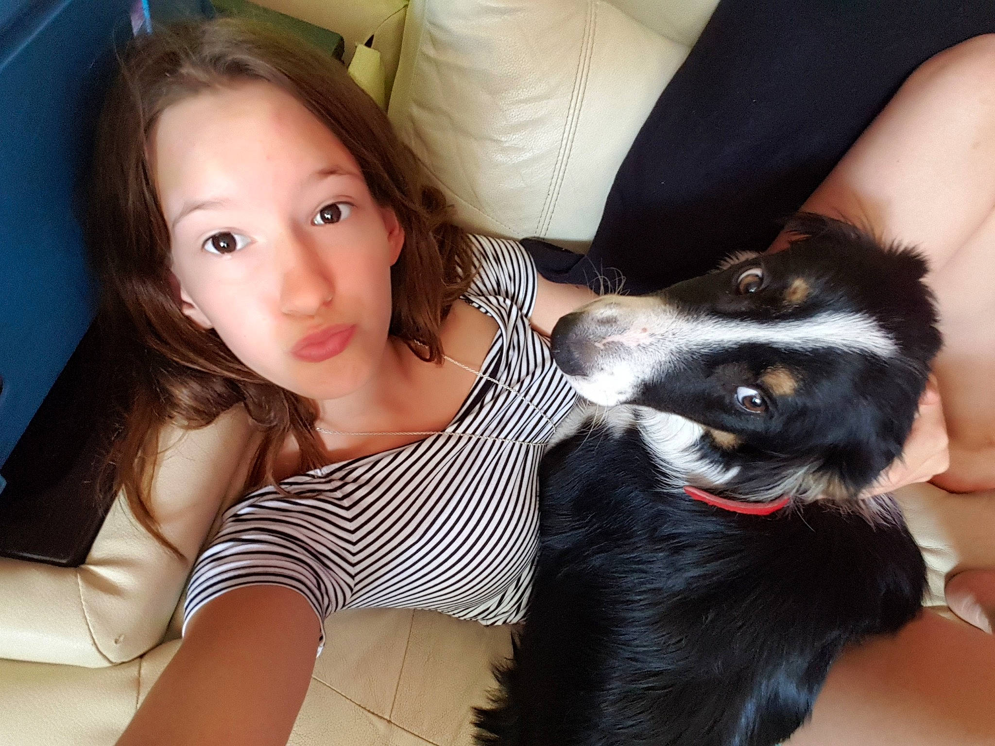 Bandy a rejoint le concours — aidez-le/la à gagner de superbes lots ! black_hair, canidae, carnivore, companion_dog, dog, dog_breed, ear, eye, fur, hand, leg, long_hair, person, puppy, puppy_love, selfie, skin, smile