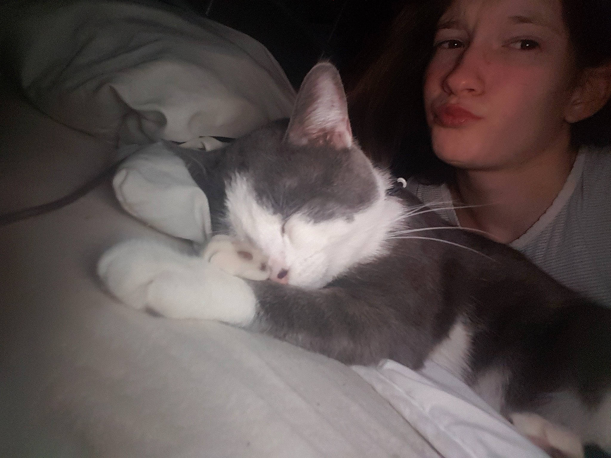 Angelo participe au concours pour gagner de l'argent avec cette photo : arm, carnivore, cat, ear, eye, felidae, fur, hand, kitten, leg, mouth, nap, night, nose, person, polydactyl_cat, skin, sky, sleep, small_to_medium_sized_cats