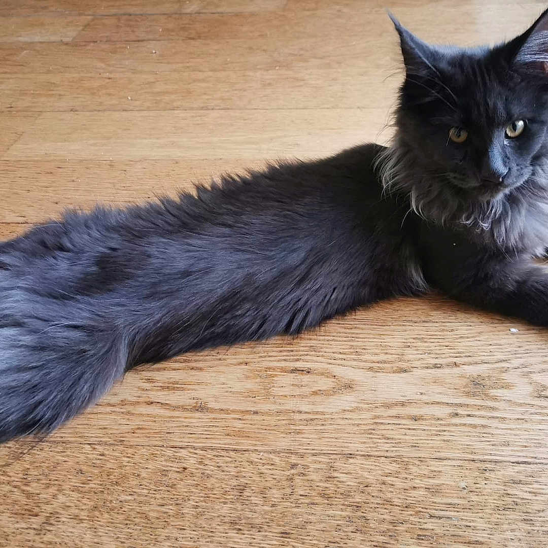 Kaé