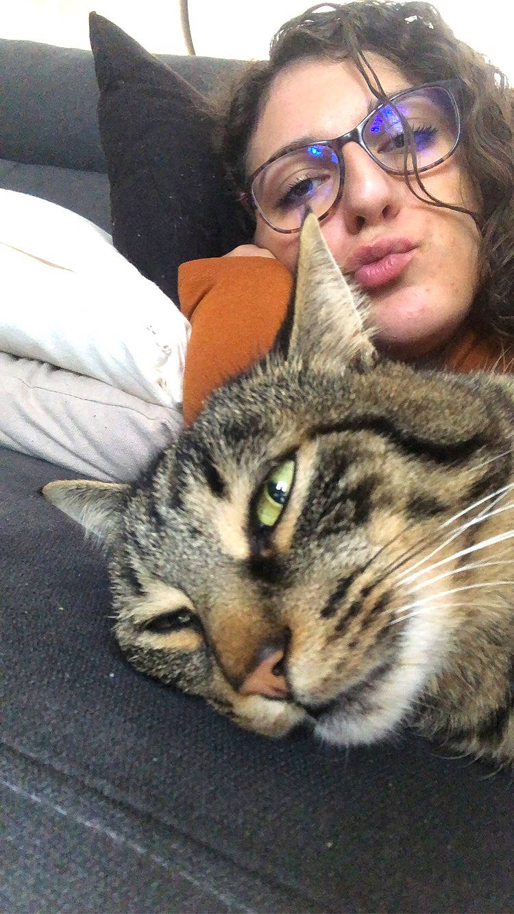 Capucin a rejoint le concours — aidez-le/la à gagner de superbes lots ! american_shorthair, asian, california_spangled, carnivore, cat, domestic_short_haired_cat, dragon_li, european_shorthair, eye, felidae, fur, kitten, mammal, nose, photography, pixie_bob, small_to_medium_sized_cats, snout, tabby_cat, whiskers