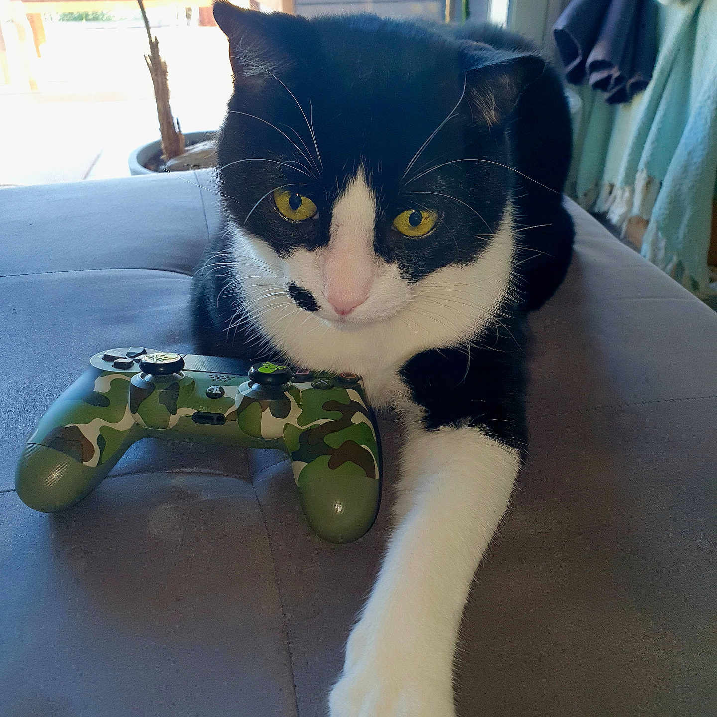 Kïki