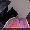 black_cat, cat, pet, blanket, pink_blanket, cat_tree, cozy, indoor, feline, cute, animal, soft_texture, resting, peeking, eyes, fur, home, comfort, small_space, love_emoji