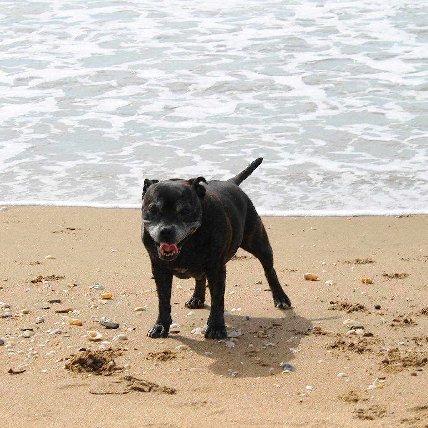 Bugsy joined the competition — help win amazing prizes!