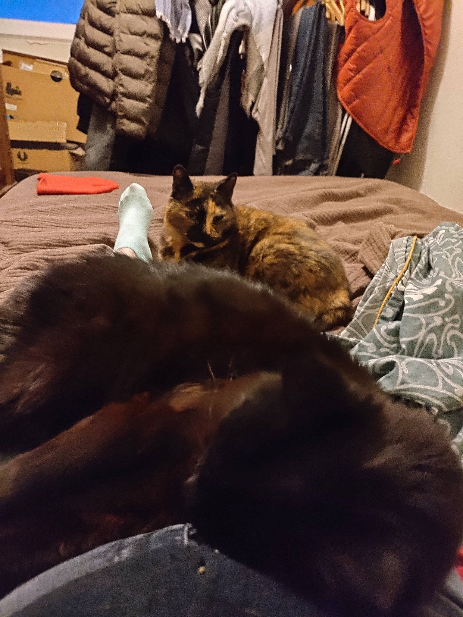 Onyx