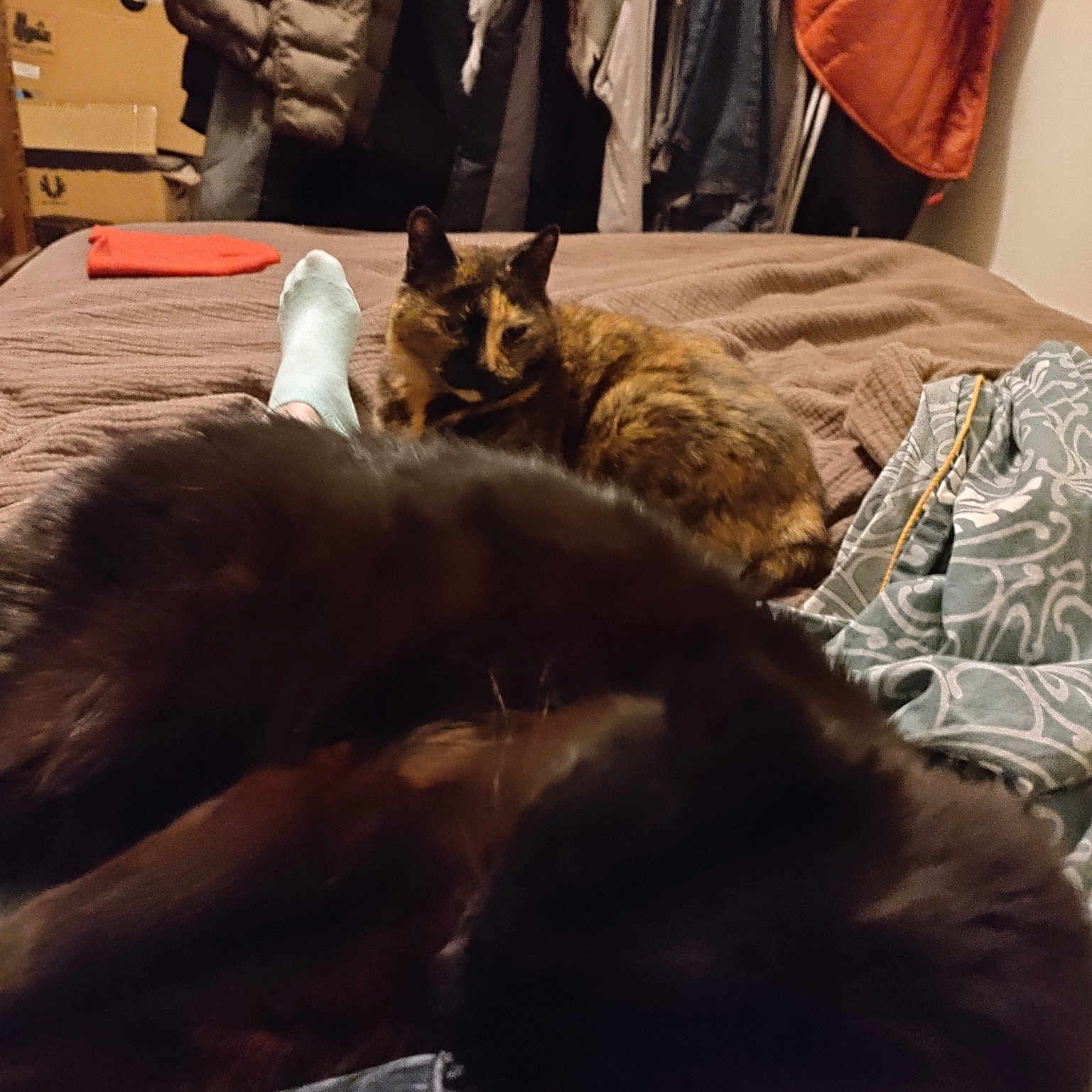 Onyx