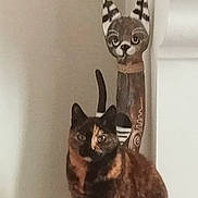 Venise a rejoint le concours — aidez-le/la à gagner de superbes lots ! cat, tortoiseshell, wooden_sculpture, animal_figurine, indoor, pet, decor, statue, white_wall, ledges, ears, painting, curious, sitting, feline, brown, black, orange, striped, artistic