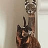 cat, tortoiseshell, wooden_sculpture, animal_figurine, indoor, pet, decor, statue, white_wall, ledges, ears, painting, curious, sitting, feline, brown, black, orange, striped, artistic
