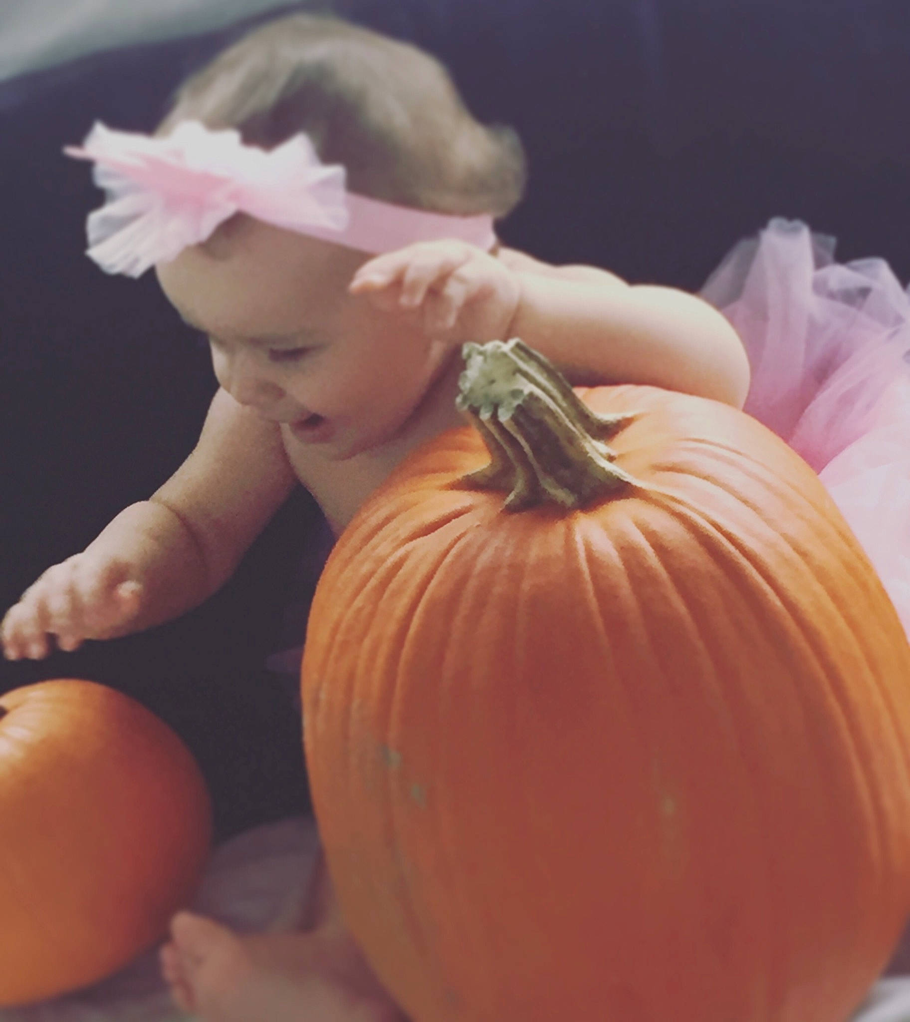 Lailani joined the competition — help win amazing prizes! blond, calabaza, child, cucurbita, food, fruit, gourd, orange, person, plant, pumpkin, squash, toddler, vegetable, vegetarian_food, winter_squash