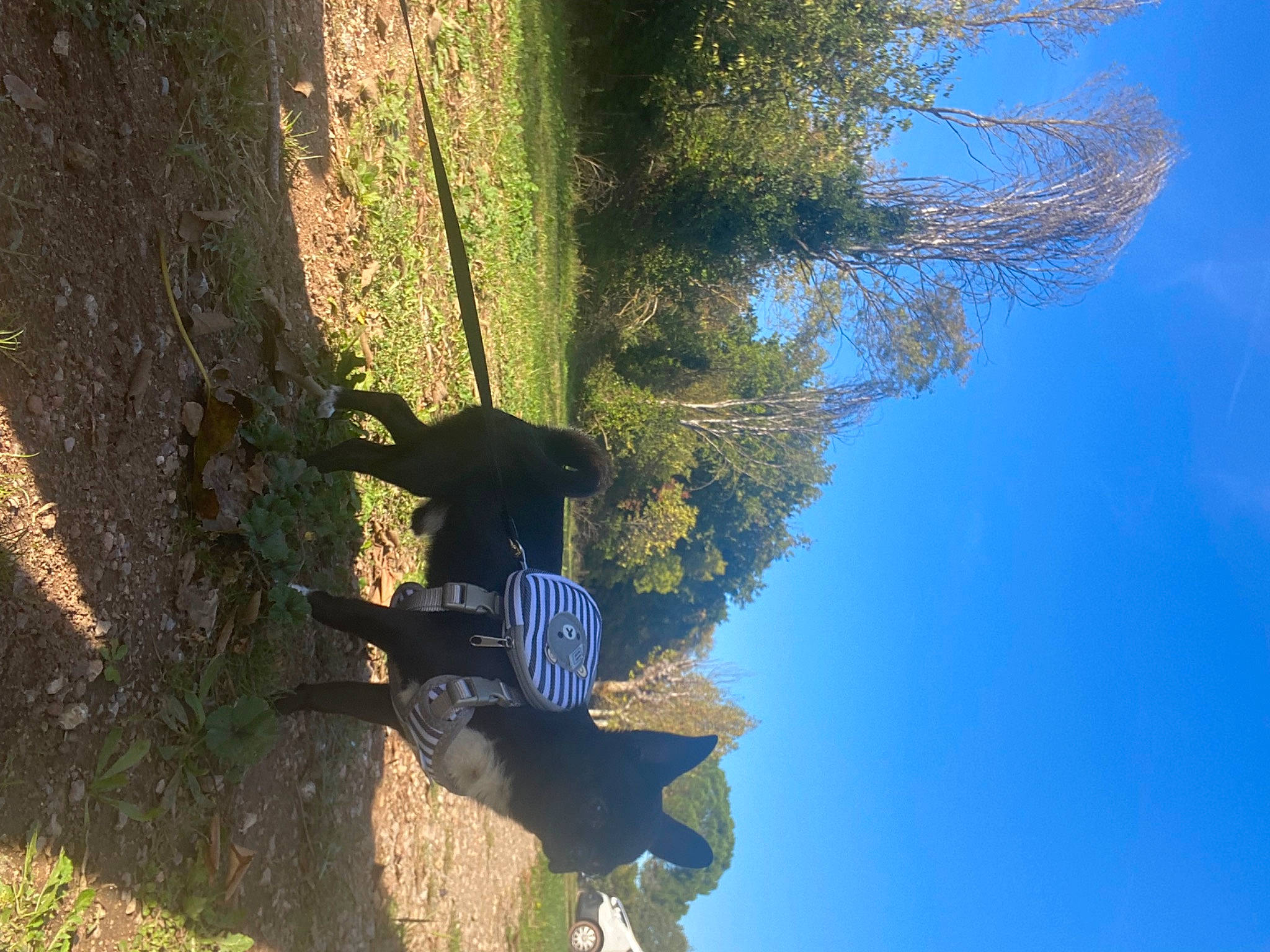 Théodore participe au concours pour gagner de l'argent avec cette photo : adventure, branch, electric_blue, fun, grass, landscape, leisure, people_in_nature, plant, pole, recreation, reflection, rock, shadow, sky, tints_and_shades, tree, trunk, vegetation, woody_plant
