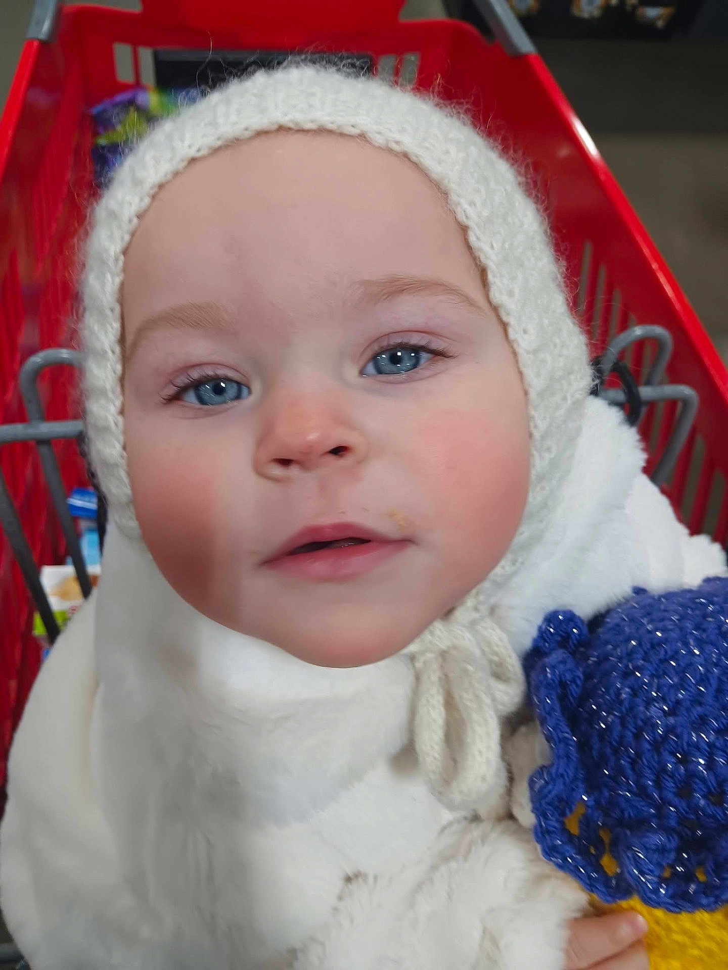 Indikeja joined the competition — help win amazing prizes! child, baby, infant, blue_eyes, knit_hat, shopping_cart, winter_coat, mitten, toy, close_up, face, eyelashes, rosy_cheeks, gaze, portrait, adorable, indoor, grocery_store, red_cart, soft_texture