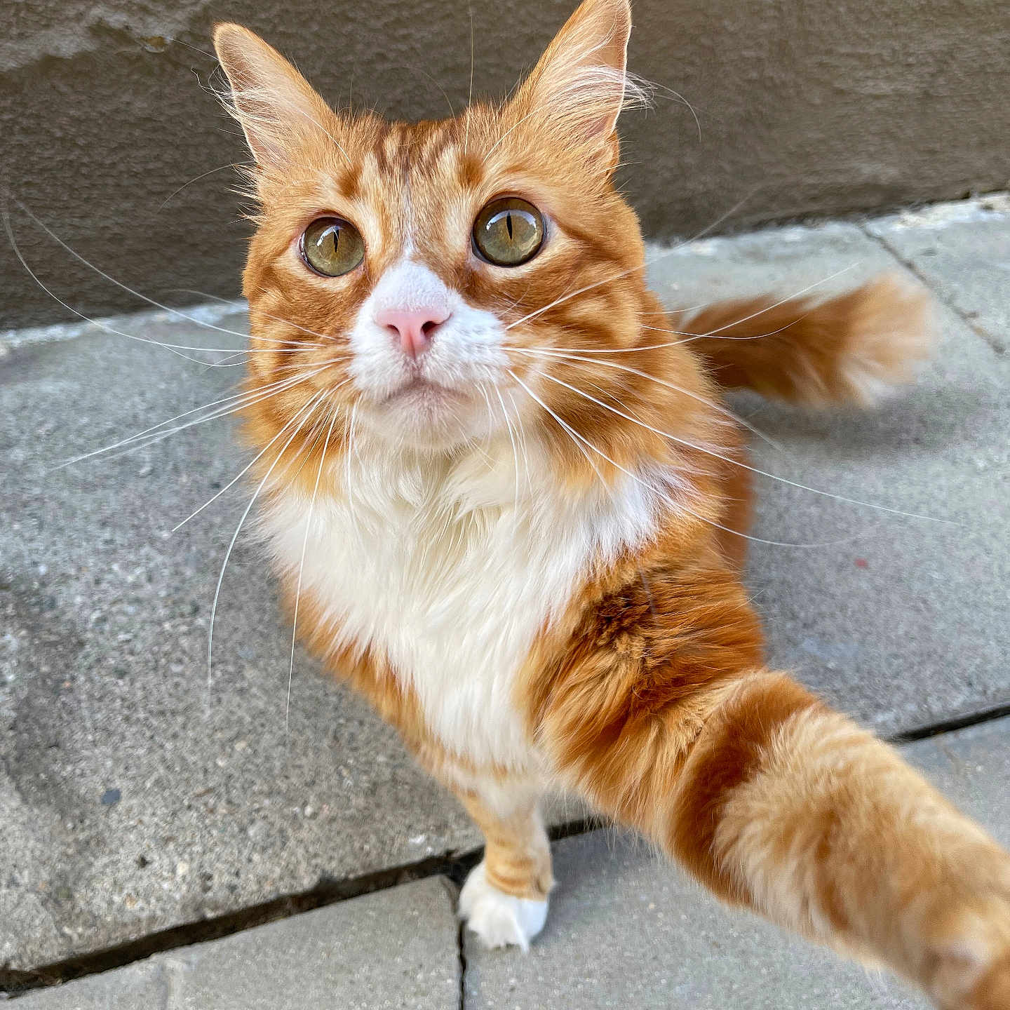 Weasley