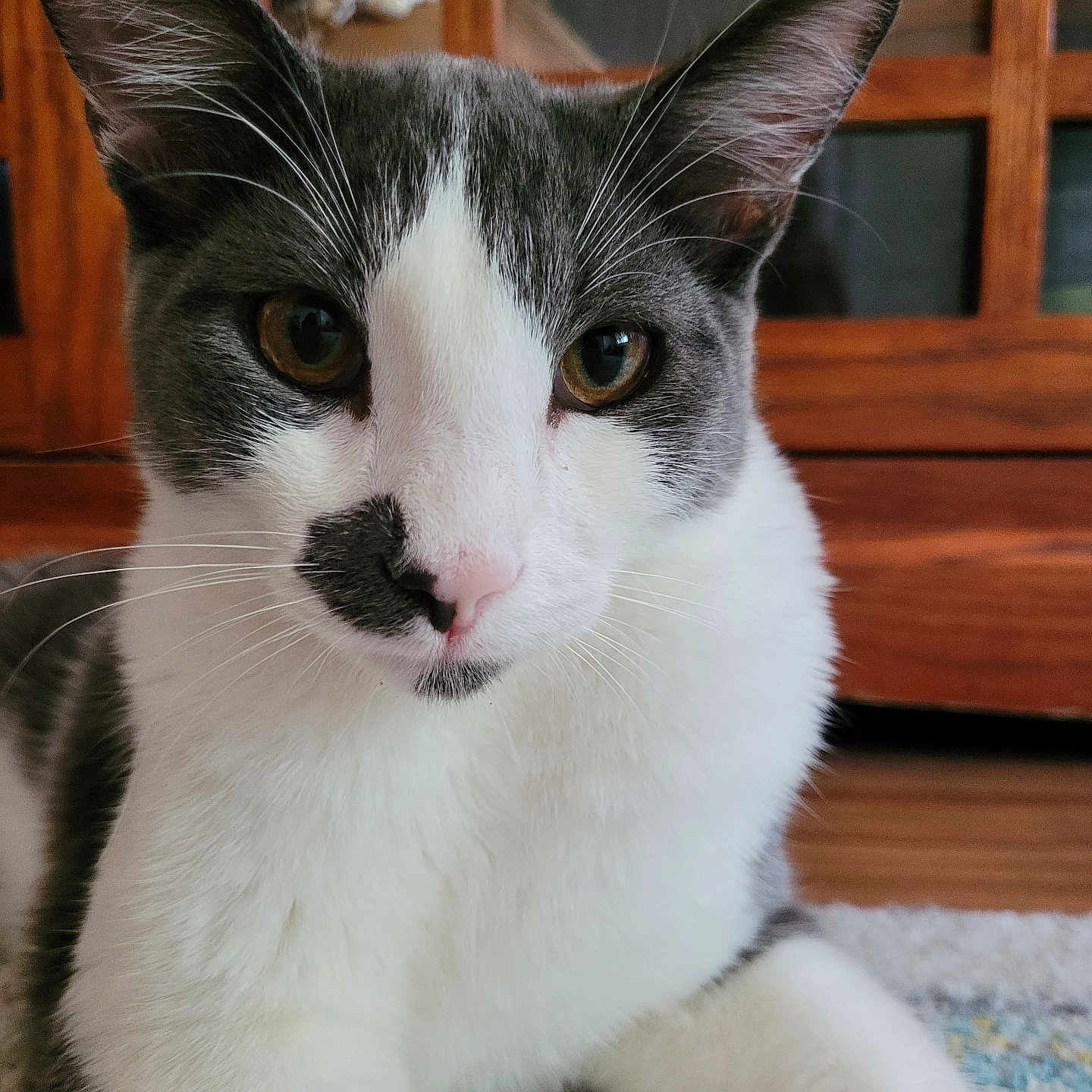 Mr. Spot