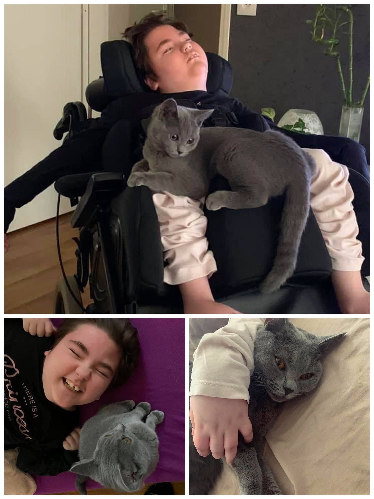 Rosemazy a rejoint le concours — aidez-le/la à gagner de superbes lots ! baby, black, cat, comfort, face, felidae, fur, gesture, happy, organ, outerwear, personal_protective_equipment, photograph, product, sitting, sleeve, smile, snapshot, textile, toddler