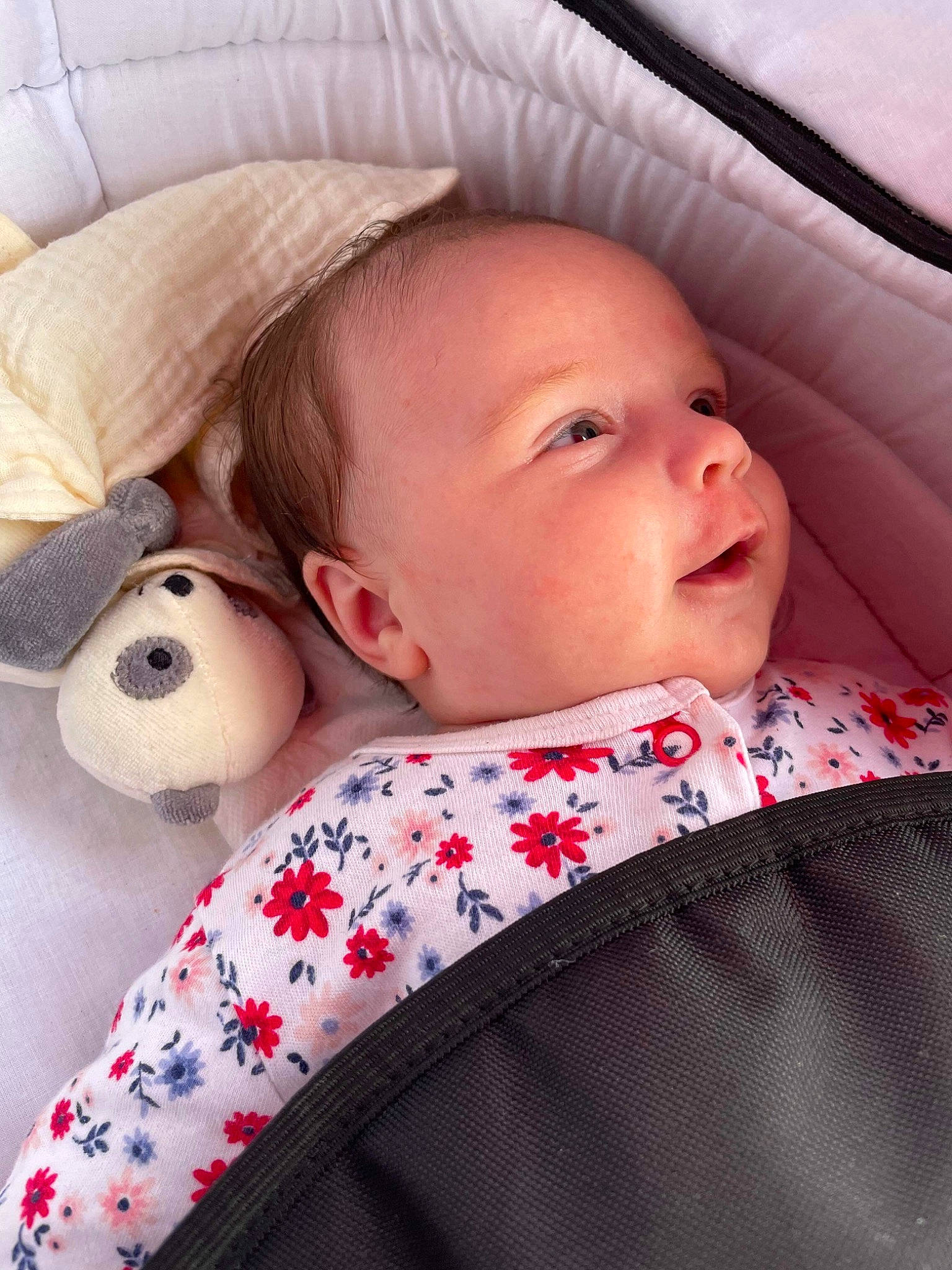 ève a rejoint le concours — aidez-le/la à gagner de superbes lots ! baby, baby_sleeping, baby_toddler_clothing, cheek, comfort, eye, face, facial_expression, head, lip, mammal, nose, organ, person, product, skin, sleeve, smile, textile, vertebrate