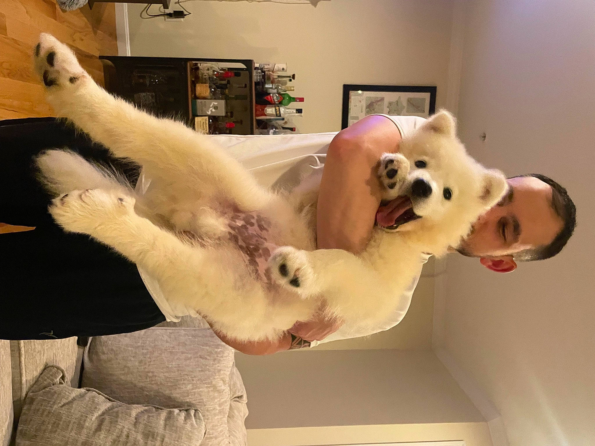 Apollo