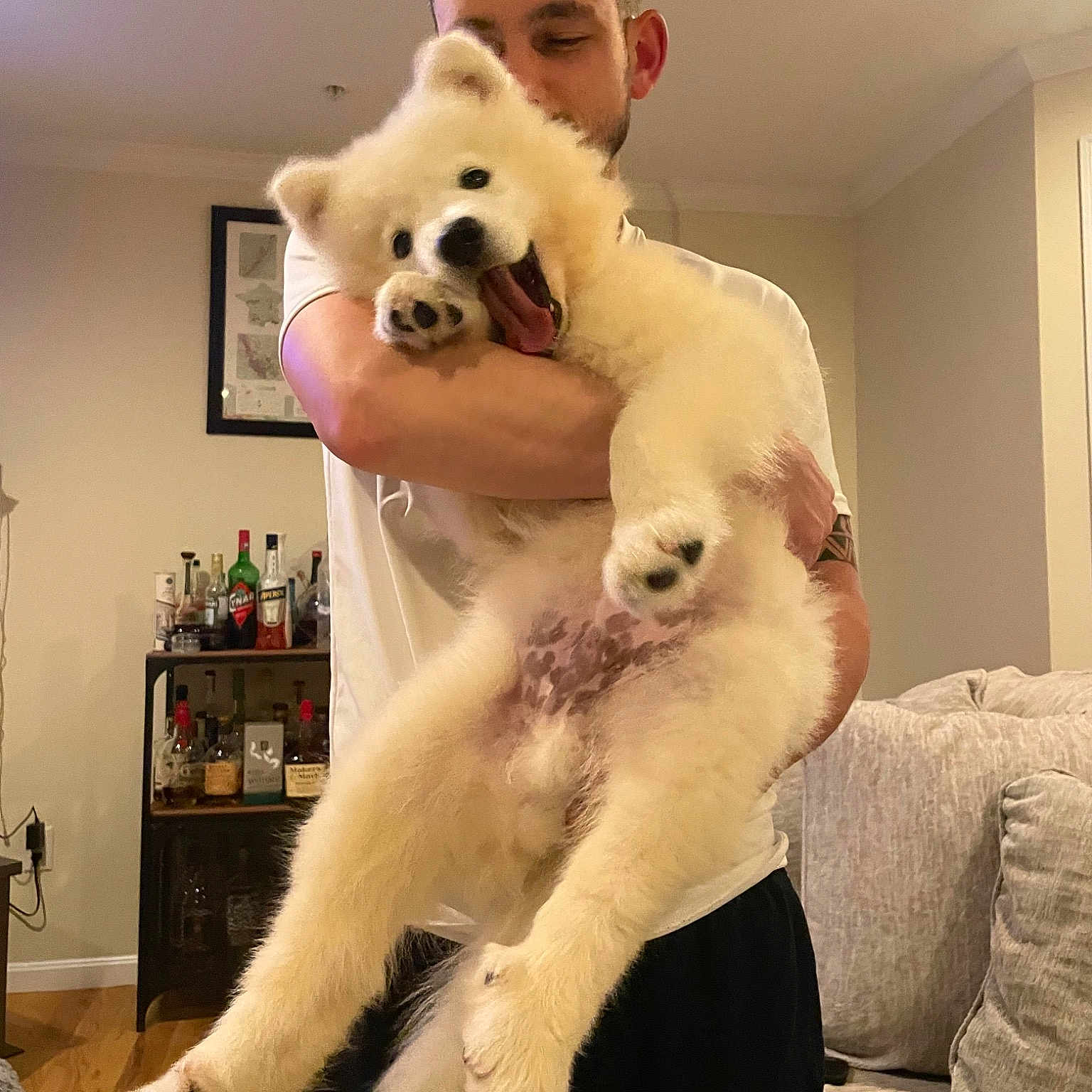 Apollo