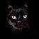 Tippi