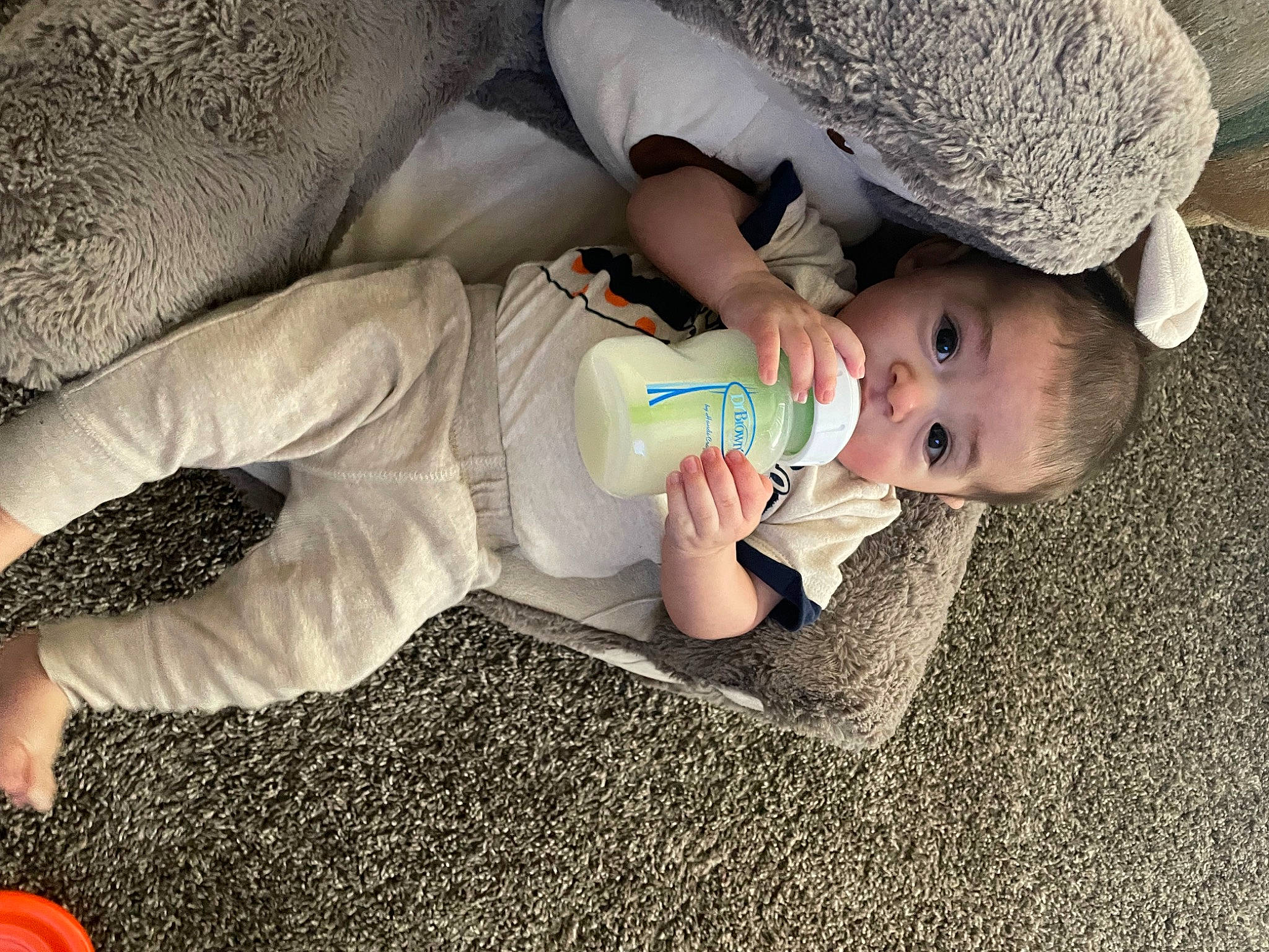 Xayvian is registered to the contest to win money with this photo: baby, baby_products, baby_toddler_clothing, cap, child, comfort, fashion_accessory, fedora, flooring, grass, hat, headgear, human_body, human_leg, pattern, person, sitting, sun_hat, toddler, tree