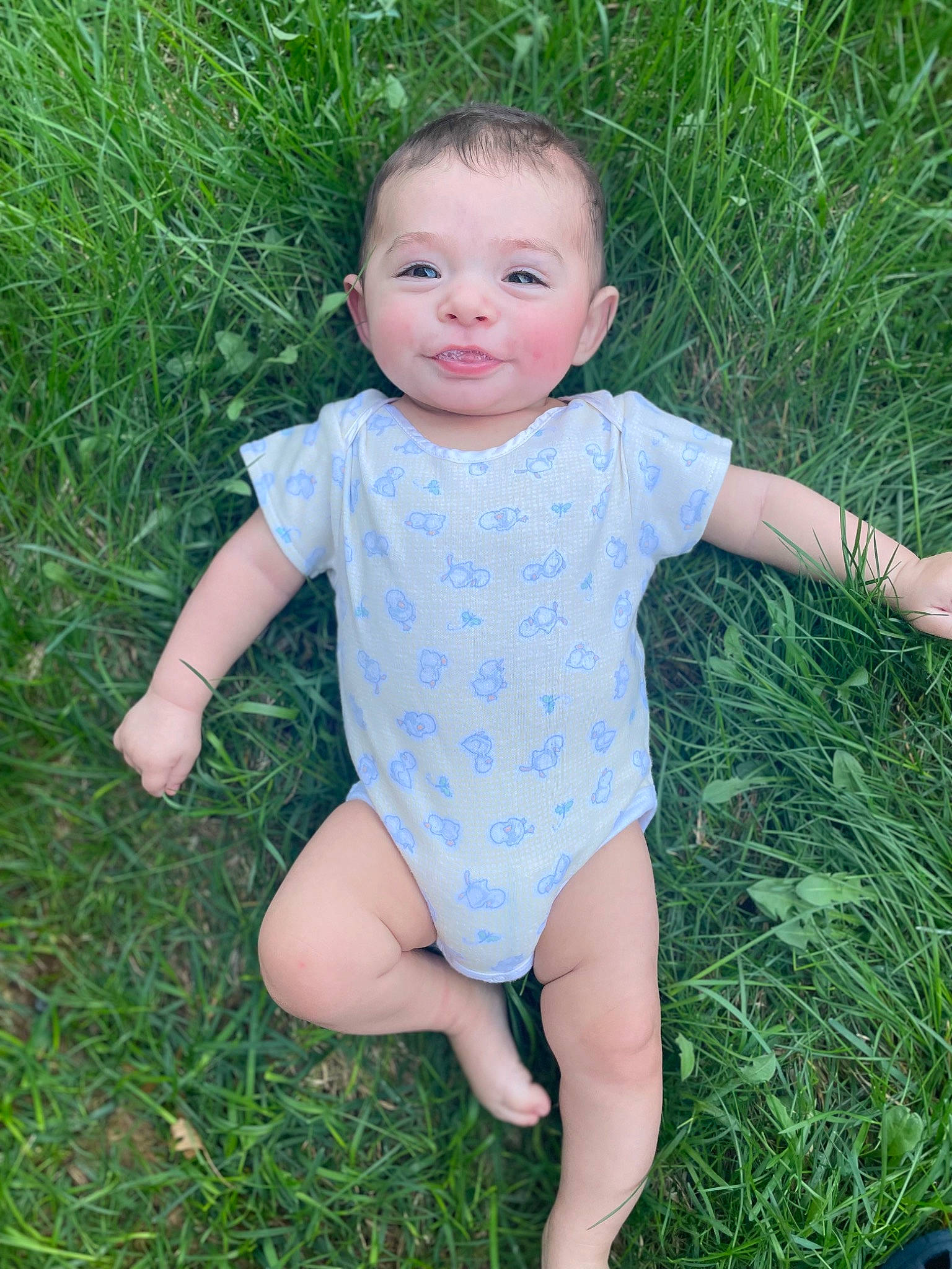 Xayvian is registered to the contest to win money with this photo: baby, baby_toddler_clothing, botany, electric_blue, face, finger, fun, grass, grass_family, grassland, happy, head, meadow, pattern, people_in_nature, person, plant, sleeve, terrestrial_plant, thumb