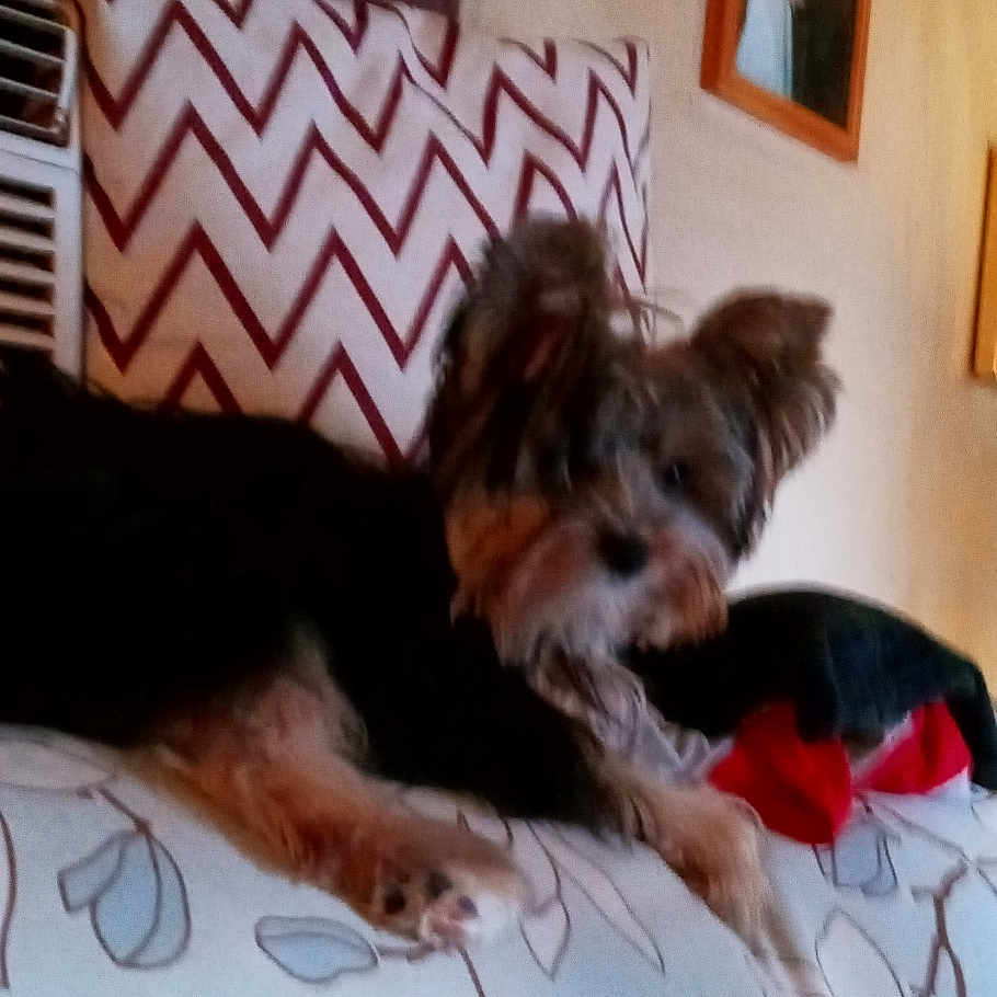 Hershey