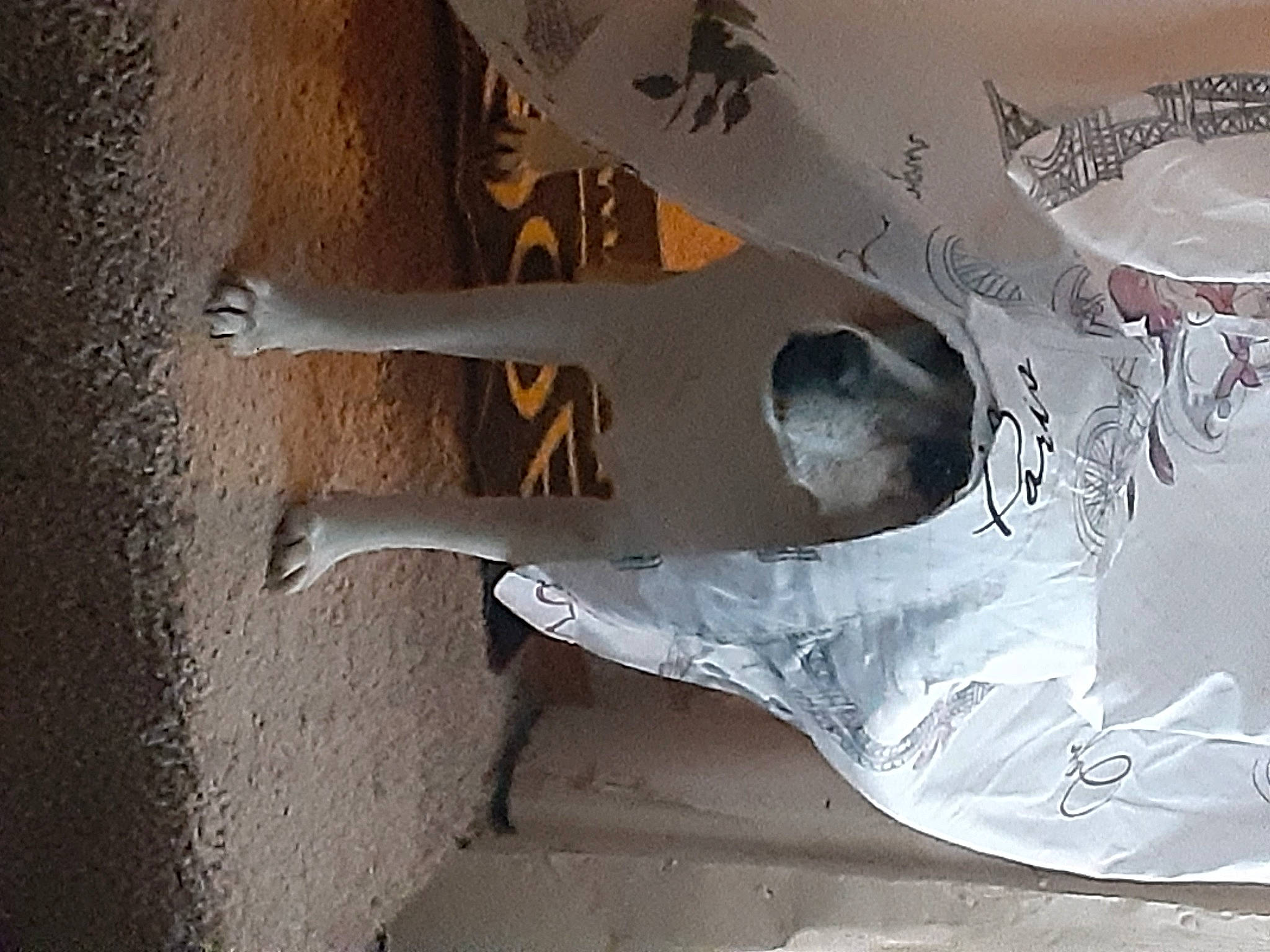 Sunchine is registered to the contest to win money with this photo: art, carving, concrete, font, gesture, metal, plaster, sculpture, shadow, tints_and_shades, transparent_material, visual_arts, wall, wing, wood