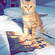 Diego a rejoint le concours — aidez-le/la à gagner de superbes lots !