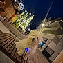 bench, building, christmas_tree, decorations, dog, festive, glowing, happy, holiday, leash, lights, night, outdoor, pavement, pet, small_dog, street, urban, white_fur, winter
