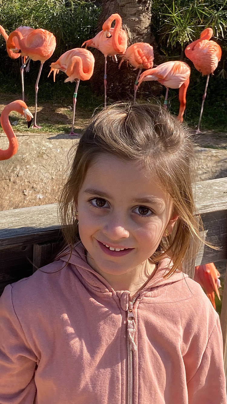 Léona participe au concours pour gagner de l'argent avec cette photo : bird, botany, eye, face, flamingo, greater_flamingo, hair, head, joy, light, lip, nature, neck, organ, person, photograph, pink, plant, sleeve, smile