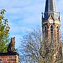 animal, architecture, brick_chimney, building, cat, church_steeple, clock, clouds, daylight, feline, greenery, leafless_branches, nature, outdoor, perched, pet, roof, sky, tabby, tree
