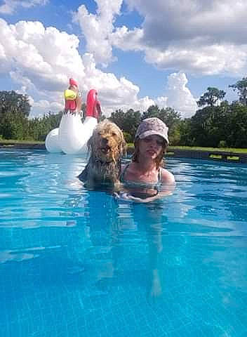 Bear is registered to the contest to win money with this photo: _geese_and_swans, beak, bird, cloud, cumulus, ducks, fluid, fun, happy, lake, leisure, recreation, sky, smile, swimming_pool, tourism, travel, tree, vacation, water