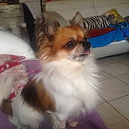 Jumpy participe au concours pour gagner de l'argent avec cette photo :