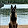 Loki