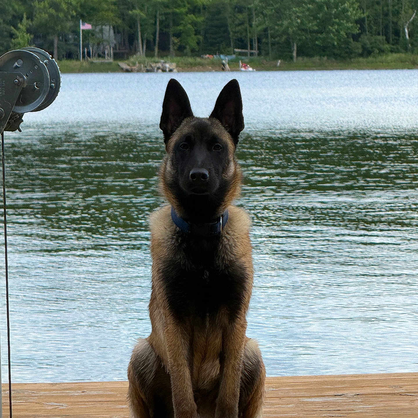 Loki