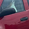 Lord Farquaad is registered to the contest to win money with this photo: dog, vehicle, car, window, red, side_mirror, door_handle, pet, animal, reflection, glass, outdoor, daylight, looking_up, canine, transport, parked_car, fur, head, side_view