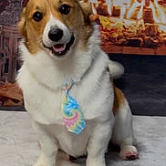 Lord Farquaad joined the competition — help win amazing prizes! dog, corgi, tie, fireplace, indoor, pet, smiling, fur, animal, cute, cozy, warm, decor, floor, painted_nails, portrait, sitting, looking_at_camera, happy, holiday
