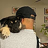 Rocket joined the competition — help win amazing prizes! puppy, dog, person, cap, shoulder, indoor, wall, framed_picture, plant, gray_shirt, black_cap, pet, cute, young_dog, resting, back_view, home, decor, animal, companion