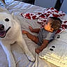 Iris is registered to the contest to win money with this photo: dog, baby, bed, blanket, pillow, smiling, white_dog, infant, indoor, cute, curious, furniture, resting, portrait, cozy, companionship, happy, laying, soft, home