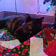 Ember joined the competition — help win amazing prizes! cat, tortoiseshell_cat, christmas_tree, christmas_lights, quilt, holiday, festive, candy_cane, snowflakes, indoor, cozy, resting, pet, animal, decorations, colorful, fabric, soft_lighting, relaxing, seasonal