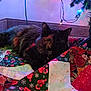 cat, tortoiseshell_cat, christmas_tree, christmas_lights, quilt, holiday, festive, candy_cane, snowflakes, indoor, cozy, resting, pet, animal, decorations, colorful, fabric, soft_lighting, relaxing, seasonal
